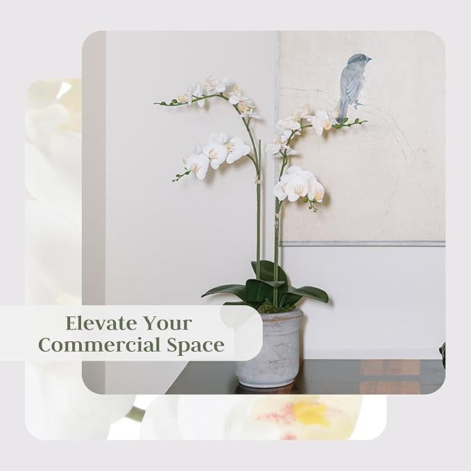 Faux White Orchid Plant, Premium Artificial Indoor Flower Display Stands 24”, Beautiful Sculptural Blooms That Lasts Forever, Grey Planter Pot Included