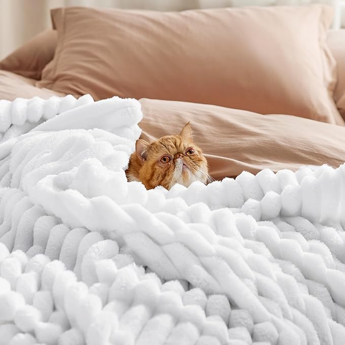Bedsure GentleSoft White Fleece Blanket for - Cozy Soft Blankets for Women, Cute Small Throws for Girls, 50x70 Inches