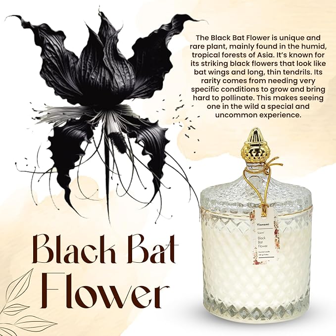VIONAMI Luxury Scented Candle Gift – Black Bat Rare Flower Fragrance in Elegant Glass Jar, Soy Candles, Long-Lasting 80 Hr, 14.8 oz, Gift Ready – Luxury Candles for Women