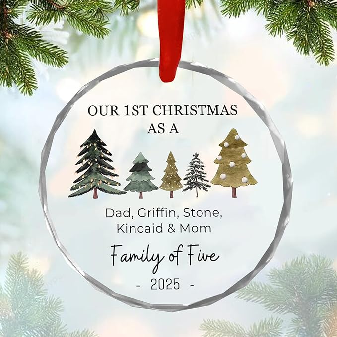 Shaant Personalized Christmas Glass Ornaments 2025, Family of Four Ornaments, Personalized New Baby's First, Family of 3, 4, 5, 6 First Christmas Ornament