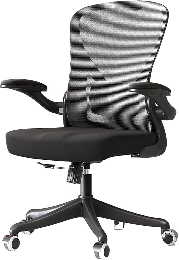 Ergonomic Office Chair with Adjustable Lumbar Support & Flip-Up Armrests - High Back Desk Chair with Thickened Seat Cushion, Rolling Wheels for Home/Office Study Work (01Blcak)