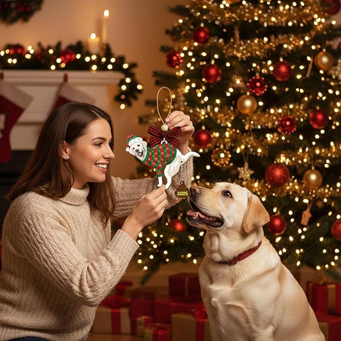 Funny Christmas Ornaments 2025, Dog Ornaments, Unique Hilarious Christmas Decorations, Funny Christmas Ornaments, White Elephant Gifts