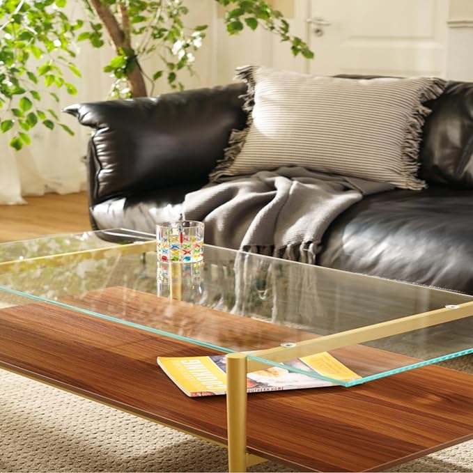 Saint Mossi Tadio Glass Coffee Table, Clear Double Layer Glass Coffee Table for Living Room, Clear Glass & Coffee Brown Bottom Shelf