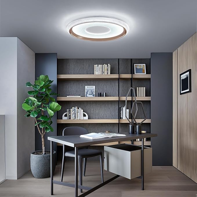 LED Flush Mount Ceiling Light, 19inch Round Dimmable Ceiling Lamp, Multiple Modes, 3000K-6000K, 60W, Modern Living Room Lighting Fixture for Entryway, Dining Room, Bedroom, Bathroom, Study