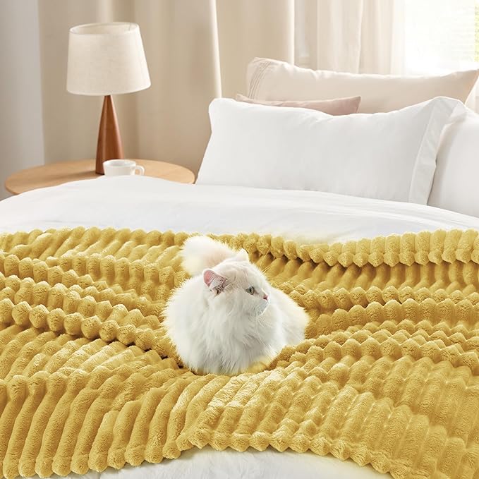 Bedsure GentleSoft Honey Fleece Blanket for - Cozy Soft Blankets for Women, Cute Small Throws for Girls, 60x80 Inches