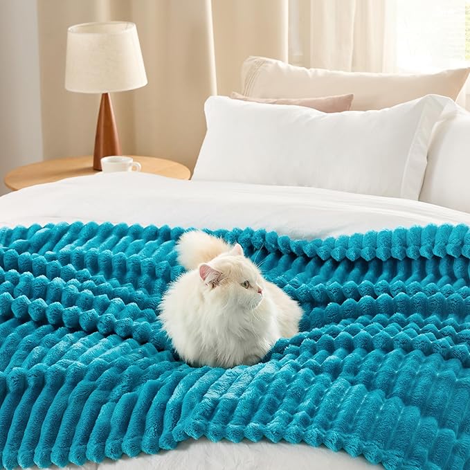 Bedsure Teal Fleece Blanket for - Super Soft Cozy Twin Blankets for Women, Cute Small Throws for Girls, 60x80 Inches