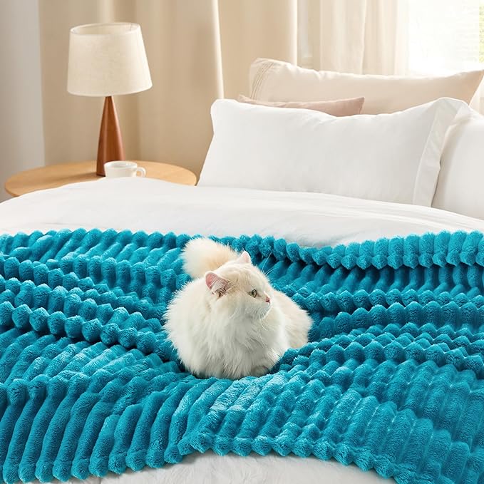 Bedsure GentleSoft Teal Fleece Blanket for - Cozy Soft Blankets for Women, Cute Small Throws for Girls, 50x60 Inches