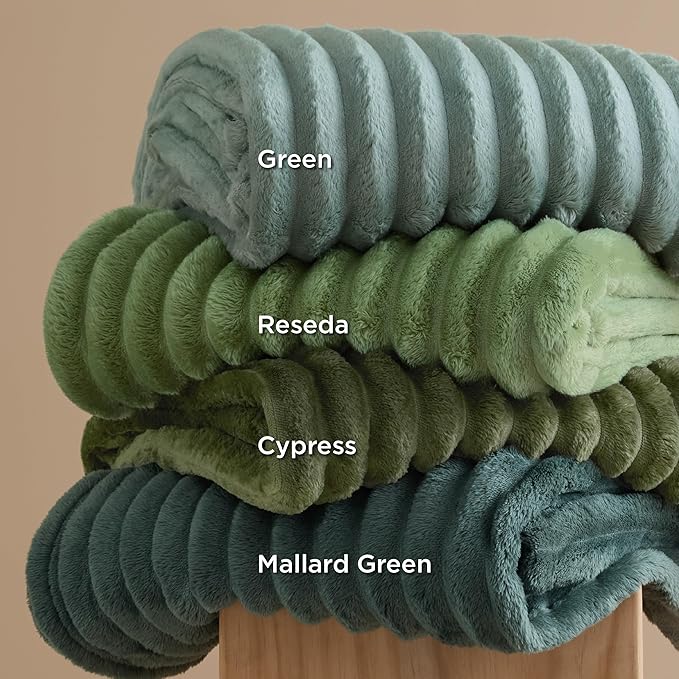 Bedsure GentleSoft Mallard Green Fleece Blanket for - Cozy Soft Blankets for Women, Cute Small Throws for Girls, 60x80 Inches