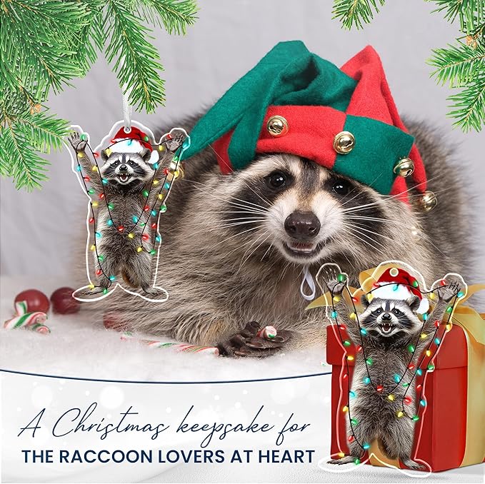 OASSIE Christmas Raccoon Gifts for Women Men - Acrylic Christmas Ornaments 2025 for Tree Decorations - Funny Racoon Gifts for Women Animal Lovers, Raccoon Ornament, Racoon Gift for Mom Dad Friends