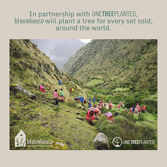 Bloomhouse Palermo Sun Double Bowl Stoneware Reactive Glaze Plates and Bowls Dinnerware Set - Agave Blue, Service for Four (16pcs)