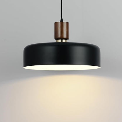 Eustace 15.8" Large Pendant Light, Adjustable Industrial Chandelier with Solid Wood and Brass Accent, Modern Hanging Light Fixtures for Kitchen Island, Living Room,Dining Room, Bedroom,Hallway