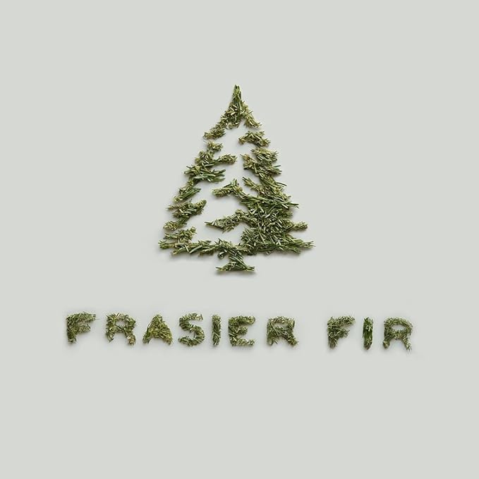 Thymes Frasier Fir Candle - Heritage Pine Needle Luminary Scented Candles - Elegant Pine Candle - Crisp Siberian Fir, Cedarwood & Sandalwood - Holiday Candles - Christmas Decor (Small, 7.5 oz)