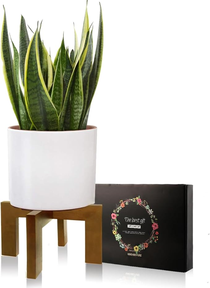 Wood Plant Stand, Mid Century Modern Planter Stand Rattan Flower Pot Stand, Low Short Plant Stands Indoor - Boho Rustic Wooden Stool for Plant Pot Holder, Fit 5-15 Inch Pot