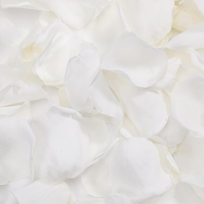 Dried Real Rose Petals, Natural Preserved Dry Flower Petals for Wedding Party Dinner Table Decor, Romantic Night for Her Set, Engagement, Bridal Shower, Valentine's Day, Confetti (1.6oz, White)