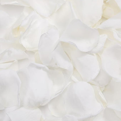 Dried Real Rose Petals, Natural Preserved Dry Flower Petals for Wedding Party Dinner Table Decor, Romantic Night for Her Set, Engagement, Bridal Shower, Valentine's Day, Confetti (1.6oz, White)