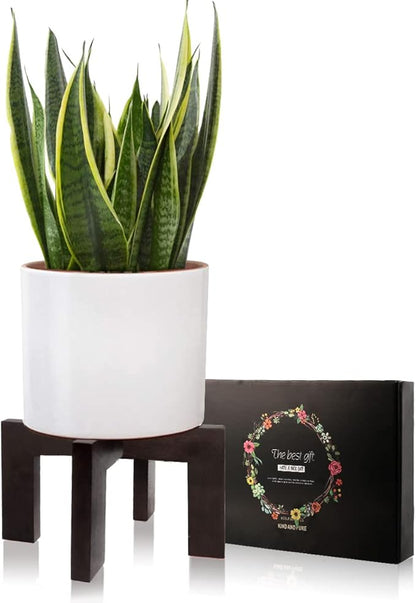 Gendral Forwepup Plant Stand Indoor Outdoor, Mid Century Plant Stand for Indoor Plants, Wood Modern Plant Holder Rattan Flower Plant stool, Low Short Boho Rustic Planter Stand, Fit 5-15 Inch Pot…