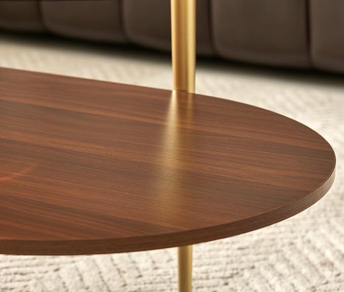 AGV LIGHTING Oval Rectangle Coffee Table with Amber Brown Glass Top, Mid-Century Modern Coffee Table, Walnut Wood Shelf and Gold Metal Legs, Capsule Shape 2 Tier Coffee Table for Living Room, 42 Inch