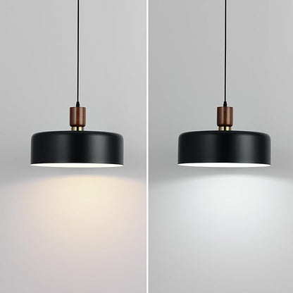 Eustace 13.8 inch Large Pendant Light, Adjustable Metal Chandelier with Solid Wood and Brass Accent, Modern Hanging Light Fixtures for Kitchen Island, Bar, Dining Room, Bedroom, Living Room