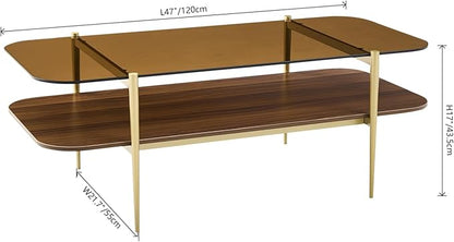 Saint Mossi Tadio Oval Glass Coffee Table, Double Layer Coffee Table for Living Room, Brown Glass & Coffee Brown MDF Bottom Shelf, H17xL47xW21