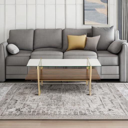 Saint Mossi Tadio Glass Coffee Table, Clear Double Layer Glass Coffee Table for Living Room, Clear Glass & Coffee Brown Bottom Shelf