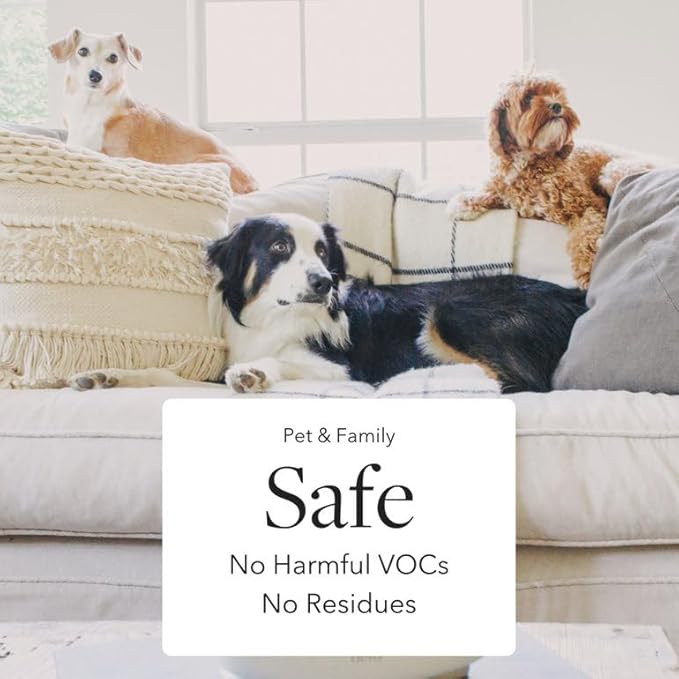 Aera Skylar Coconut Cove Home Fragrance Scent Refill - Notes of Coconut and Bergamot - Works with The Aera Diffuser