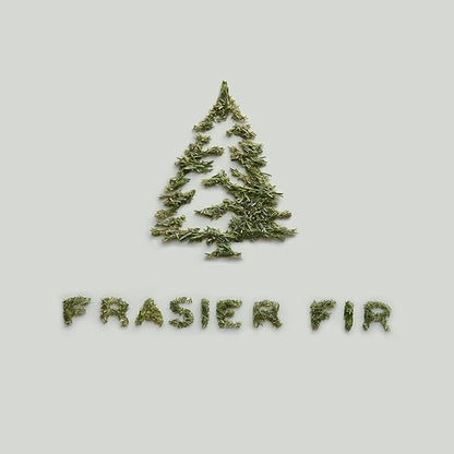 Thymes Frasier Fir Candle - Molded Green Glass Jar with Pine Needle Design - Winter Candle Gifts for Women & Men - Fresh Home Fragrance - Notes of Crisp Siberian Fir, Cedarwood & Sandalwood (6.5 oz)