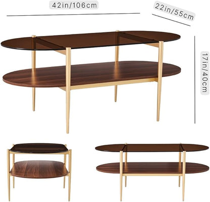 AGV LIGHTING Oval Rectangle Coffee Table with Amber Brown Glass Top, Mid-Century Modern Coffee Table, Walnut Wood Shelf and Gold Metal Legs, Capsule Shape 2 Tier Coffee Table for Living Room, 42 Inch