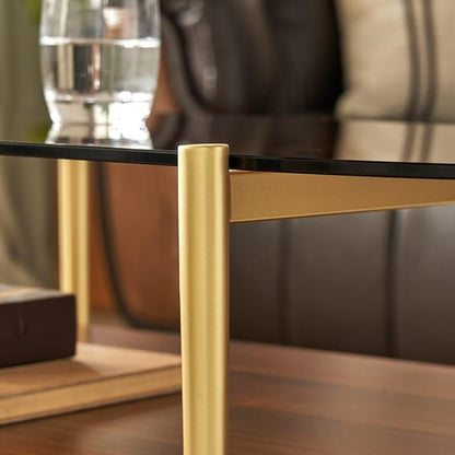 AGV LIGHTING Oval Rectangle Coffee Table with Amber Brown Glass Top, Mid-Century Modern Coffee Table, Walnut Wood Shelf and Gold Metal Legs, Capsule Shape 2 Tier Coffee Table for Living Room, 42 Inch