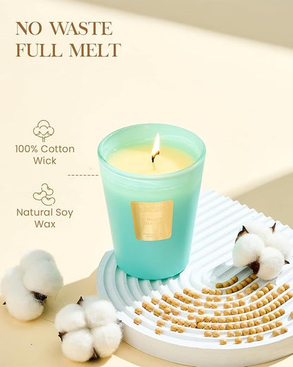 M&SENSE Summer Sea Air Scented Candle Home Decor, Natural Soy Wax,4.1oz 60 Hours Long Lasting Slow Burning, Aromatherapy Candle for Stress Relief
