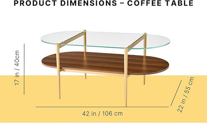 AGV LIGHTING Oval Rectangle Coffee Table with Clear Glass Top, Mid-Century Modern Coffee Table, Walnut MDF Shelf and Glod Metal Legs, Capsule Shape 2 Tier Coffee Table for Living Room, 42 Inch