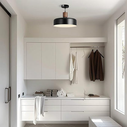 Eustace 15.8" Large Pendant Light, Adjustable Industrial Chandelier with Solid Wood and Brass Accent, Modern Hanging Light Fixtures for Kitchen Island, Living Room,Dining Room, Bedroom,Hallway