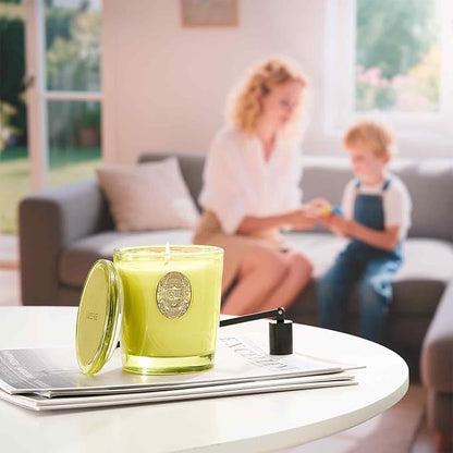 M&SENSE Natural Soy Candle | Seattle Rainforest & Matcha Green | 9.2 oz, 50H Burn Time | Luxury Scented Candle for Relaxation, Gifting, Home Décor | Ideal for Bedroom, Office, Party Ambiance