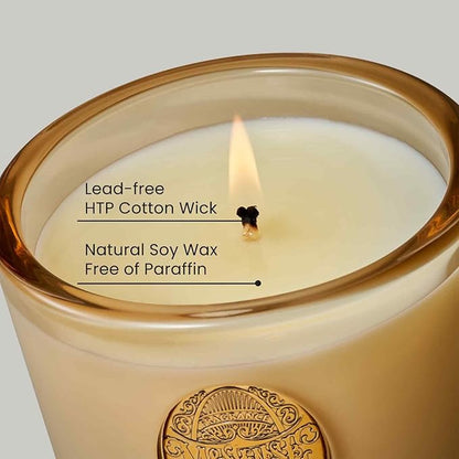 M&SENSE Natural Soy Candle | Banana Leaf & Gold | 9.2 oz, 50H Burn Time | Luxury Scented Candle for Relaxation, Gifting, Home Décor | Ideal for Bedroom, Office, Party Ambiance