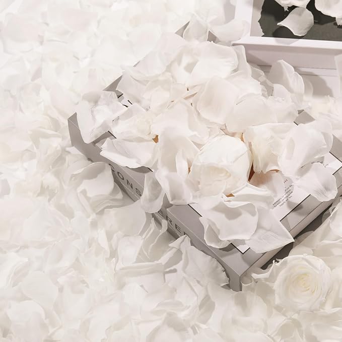 Dried Real Rose Petals, Natural Preserved Dry Flower Petals for Wedding Party Dinner Table Decor, Romantic Night for Her Set, Engagement, Bridal Shower, Valentine's Day, Confetti (3oz, White)