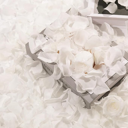 Dried Real Rose Petals, Natural Preserved Dry Flower Petals for Wedding Party Dinner Table Decor, Romantic Night for Her Set, Engagement, Bridal Shower, Valentine's Day, Confetti (3oz, White)