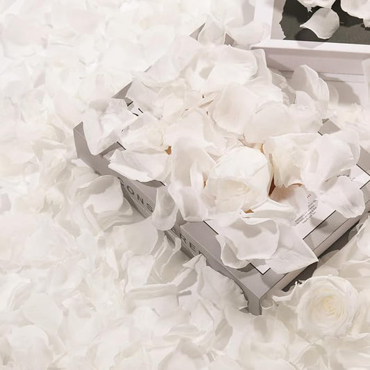 Dried Real Rose Petals, Natural Preserved Dry Flower Petals for Wedding Party Dinner Table Decor, Romantic Night for Her Set, Engagement, Bridal Shower, Valentine's Day, Confetti (3oz, White)