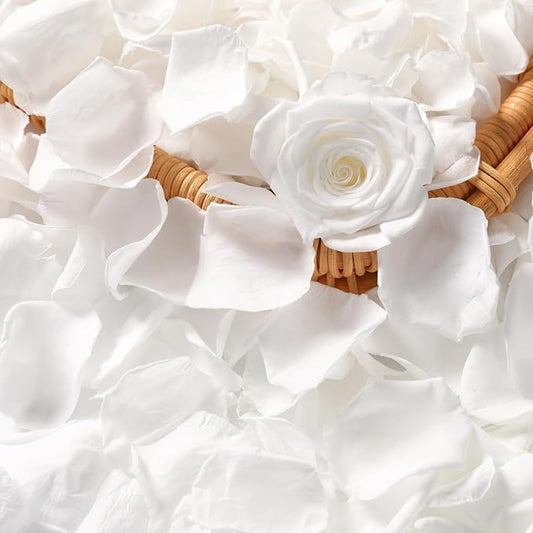 Dried Real Rose Petals, Natural Preserved Dry Flower Petals for Wedding Party Dinner Table Decor, Romantic Night for Her Set, Engagement, Bridal Shower, Valentine's Day, Confetti (1.6oz, White)