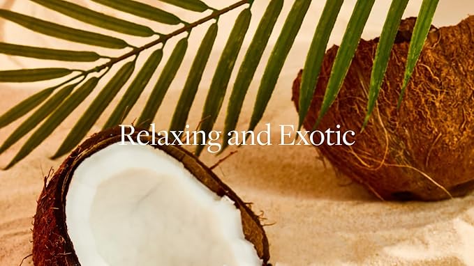 Aera Skylar Coconut Cove Home Fragrance Scent Refill - Notes of Coconut and Bergamot - Works with The Aera Diffuser