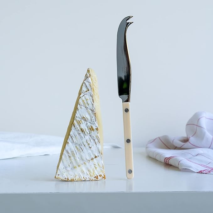 Cheese Knife 9.4 inches - Bistrot Collection - All Cheeses - Stainless Steel & Nylon - Dishwasher Safe - Ivory - Brilliant Finish
