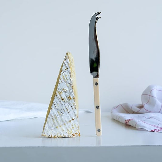 Cheese Knife 9.4 inches - Bistrot Collection - All Cheeses - Stainless Steel & Nylon - Dishwasher Safe - Ivory - Brilliant Finish