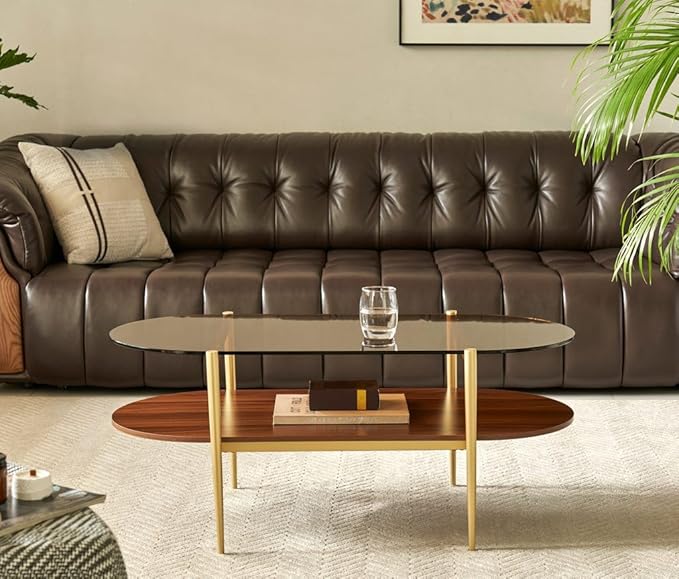 AGV LIGHTING Oval Rectangle Coffee Table with Amber Brown Glass Top, Mid-Century Modern Coffee Table, Walnut Wood Shelf and Gold Metal Legs, Capsule Shape 2 Tier Coffee Table for Living Room, 42 Inch
