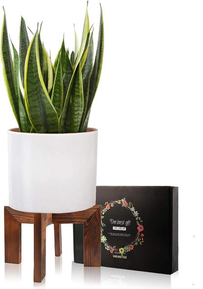 Wood Plant Stand, Mid Century Modern Planter Stand Rattan Flower Pot Stand, Low Short Plant Stands Indoor - Boho Rustic Wooden Stool for Plant Pot Holder, Fit 5-15 Inch Pot