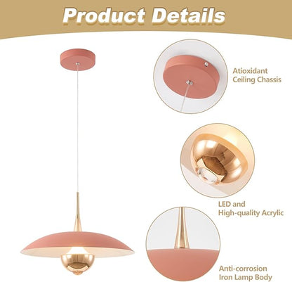 Modern LED Hanging Lamp Mini Indoor Ceiling Light with Pink Shade Bedside Gold Pendant Light for Kitchen Bedroom Hallway