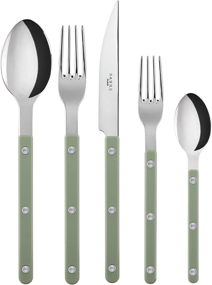 5-Piece Flatware Set - Bistrot Collection - Knife, Fork, Soup Spoon, Teaspoon & Dessert Fork - Stainless Steel & Nylon - Dishwasher Safe - Asparagus - Brilliant Finish