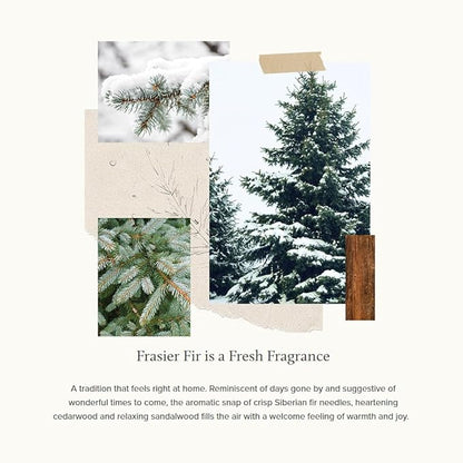 Thymes Frasier Fir Candle - Molded Green Glass Jar with Pine Needle Design - Winter Candle Gifts for Women & Men - Fresh Home Fragrance - Notes of Crisp Siberian Fir, Cedarwood & Sandalwood (6.5 oz)