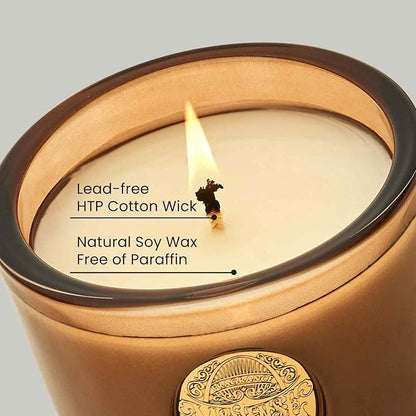 M&SENSE Natural Soy Candle | Hot Cocoa & Brown | 9.2 oz, 50H Burn Time | Luxury Scented Candle for Relaxation, Gifting, Home Décor | Ideal for Bedroom, Office, Party Ambiance