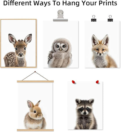 Nursery Animal Wall Art Pictures Baby Safari Canvas Wall Decor Jungle Woodland Wall Art Cute Animal Prints Paintings Nursery Kids Posters for Boys Girls Room Bedroom 12x16 Inch Unframed Set of 6