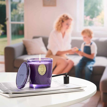 M&SENSE Natural Soy Candle | Lavender Citrus & Purple | 9.2 oz, 50H Burn Time | Luxury Scented Candle for Relaxation, Gifting, Home Décor | Ideal for Bedroom, Office, Party Ambiance