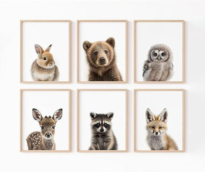 Nursery Animal Wall Art Pictures Baby Safari Canvas Wall Decor Jungle Woodland Wall Art Cute Animal Prints Paintings Nursery Kids Posters for Boys Girls Room Bedroom 8x10 Inch Unframed Set of 6