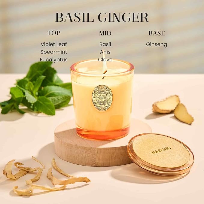 M&SENSE Natural Soy Candle | Basil Ginger & Orange | 9.2 oz, 50H Burn Time | Luxury Scented Candle for Relaxation, Gifting, Home Décor | Ideal for Bedroom, Office, Party Ambiance